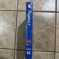 ALGEBRA 1: TEXAS EDITION By Alan G. Foster – Hardcover