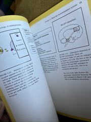 Psychopharmacology Of Antidepressants By Stephen M. Stahl & Martin Dunitz
