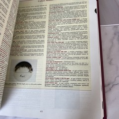 Dorland’s Illustrated Medical Dictionary with CD-ROM, 31e (Dorland’s – VERY GOOD