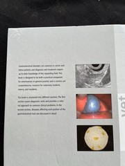 Small Animal Gastroenterology by Jörg M. Steiner (2008, Hardcover)