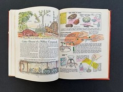 Golden Book of Chemistry Experiments. Vintage, Revised 1st Edition 1963.