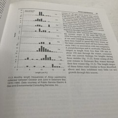 First Year in the Life of Estuarine Fishes in the Middle Atlantic Bight by Ke…