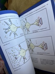 Psychopharmacology Of Antidepressants By Stephen M. Stahl & Martin Dunitz