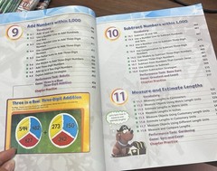 Big Ideas Mah , Grade 2, Volume 2, Modeling Real Life, Common Core,By Ron Larson