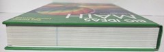 BIG IDEAS MATH TEACHING EDITION-HC-2014-RON LARSON AND LAURIE BOSWELL-LIKE NEW