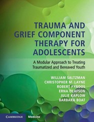 Trauma and Grief Component Therapy for Adolescents: A Modular Approach to Tr…