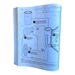 Lippincott Illustrated Reviews: Pharmacology 1st edition 1994 Harvey Champe VTG