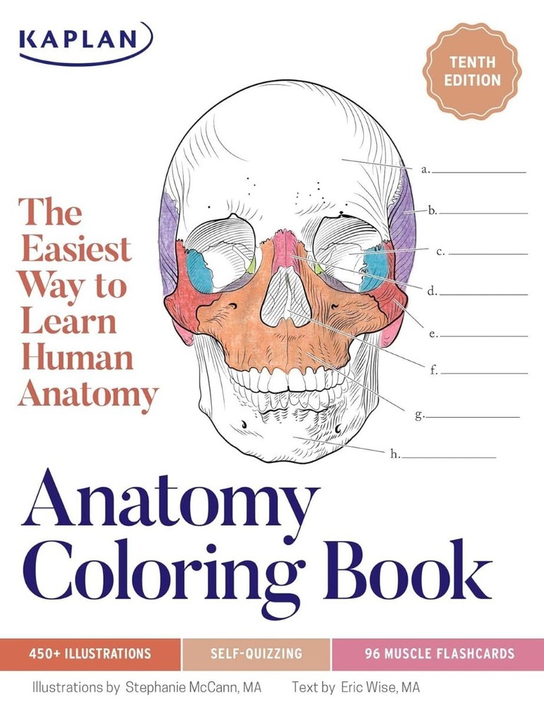 Anatomy Coloring Book with 450+ Realistic Medical PAPERBACK 2024 by Stephanie…