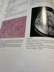 Ferri’s Color Atlas and Text of Clinical Medicine: Expert Consult – Online…