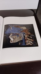 COLOR ATLAS OF CONE BEAM VOLUMETRIC IMAGING FOR DENTAL APPLICA TIONS Dale Miles
