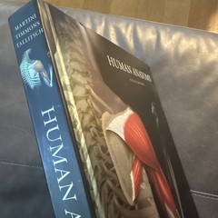 Human Anatomy (6th Edition) – Hardcover By Martini, Frederic H.