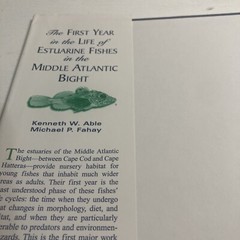 First Year in the Life of Estuarine Fishes in the Middle Atlantic Bight by Ke…