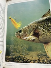 NAFC North American Fishing Club Catch Walleye Secrets Book Sports NM 1998 📕