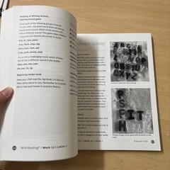 Wild Reading Curriculum Level One Rachel Tidd Wild Learning NO WRITING Spiral