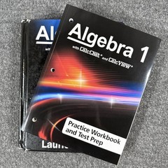 Big Ideas Algebra 1 with CalcChat CalcView Textbook, Practice Workbook Test Prep