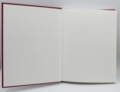 Botanical Influences on Illness by Werbach and Murray – Third Line Press – 2000!