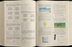 PRECALCULUS WITH LIMITS: A Graphing Approach (6th Edition) By Ron Larson (2012)