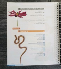 BJU Press Biology (5th. Ed.) Teacher’s Edition A & B, Student Text, Tests & Key
