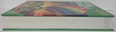 BIG IDEAS MATH TEACHING EDITION-HC-2014-RON LARSON AND LAURIE BOSWELL-LIKE NEW