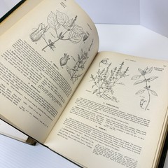 1952 New Britton and Brown Illustrated Flora of United States Gleason Flowers
