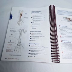 Trail Guide to the Body by Andrew Biel 5th Edition 2014