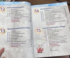 Big Ideas Mah , Grade 2, Volume 2, Modeling Real Life, Common Core,By Ron Larson