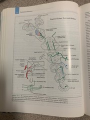 textbook