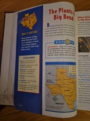 McGraw Hill Science (Texas Edition) – Level 5 HC Textbook