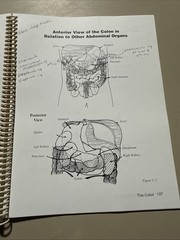 Visceral Manipulation IA Study Guide 1998 Revised Frank Lowen MT Upledger