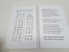 Hebrew Letters & How They Grew The Alef Bet PB Book A J Cannon-Dalbey Children