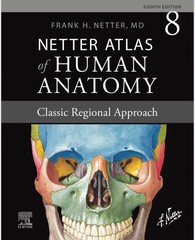 Netter Atlas of Human Anatomy Classic Paperback, by Netter MD Frank FREEShip