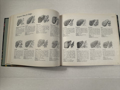 Illustrated Guide to Gardening, VTG 1990, 11th ed 600+ pgs, Hardcover