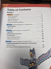 Curriculum Associates, Magnetic Literacy Grade 4, Unit 4, Free As A Bird( 2027)