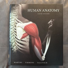Human Anatomy (6th Edition) – Hardcover By Martini, Frederic H.