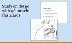 Anatomy Coloring Book with 450+ Realistic Medical Illustrations Quizzes…