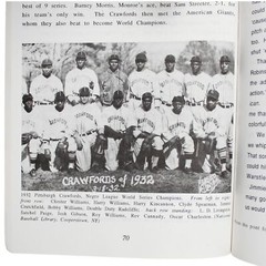 Baseball Negro Leagues Ted Double Duty Radcliffe Bio History NY Black Yankees