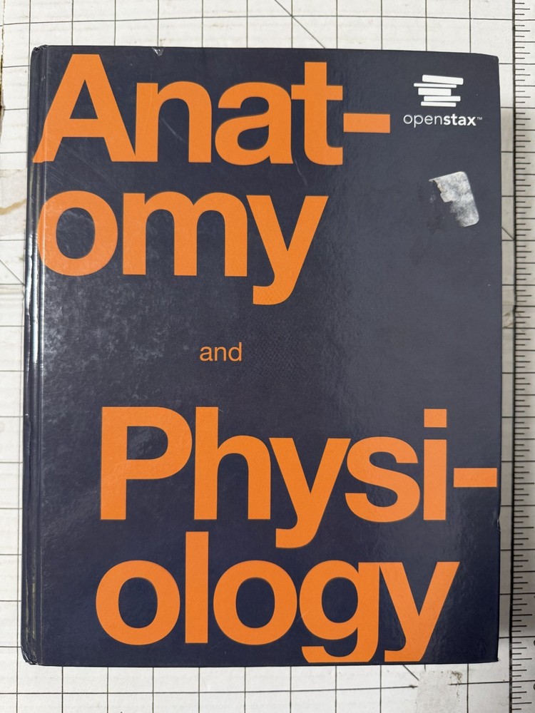 Anatomy and Physiology OpenStax Rice University 2017, Hardcover Ships Fast