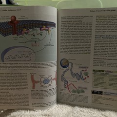 Understanding Pathophysiology by Kathryn L. McCance and Sue E. Huether (2007,…