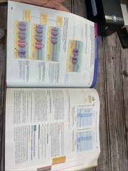 Human Anatomy & Physiology — Marieb & Hoehn — 10th Ed — HC