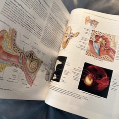 Human Anatomy (6th Edition) – Hardcover By Martini, Frederic H.