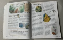 USED Abeka 5th Grade Investigating God’s World Science Book Set 4th Ed – 5 Books