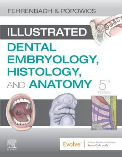 Illustrated Dental Embryology, Histology, and Anatomy – Paperback – GOOD