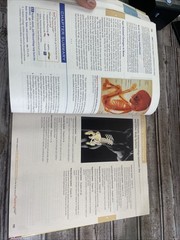 Human Anatomy & Physiology — Marieb & Hoehn — 10th Ed — HC