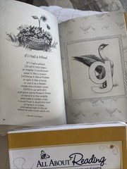 All About Reading Pre-reading Volume 1 And 2, Teachers Manual And Activity Book